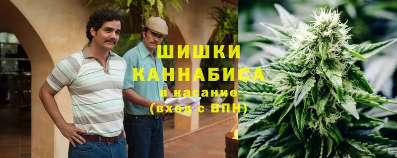 Каннабис Bruce Banner  закладка  Починок 